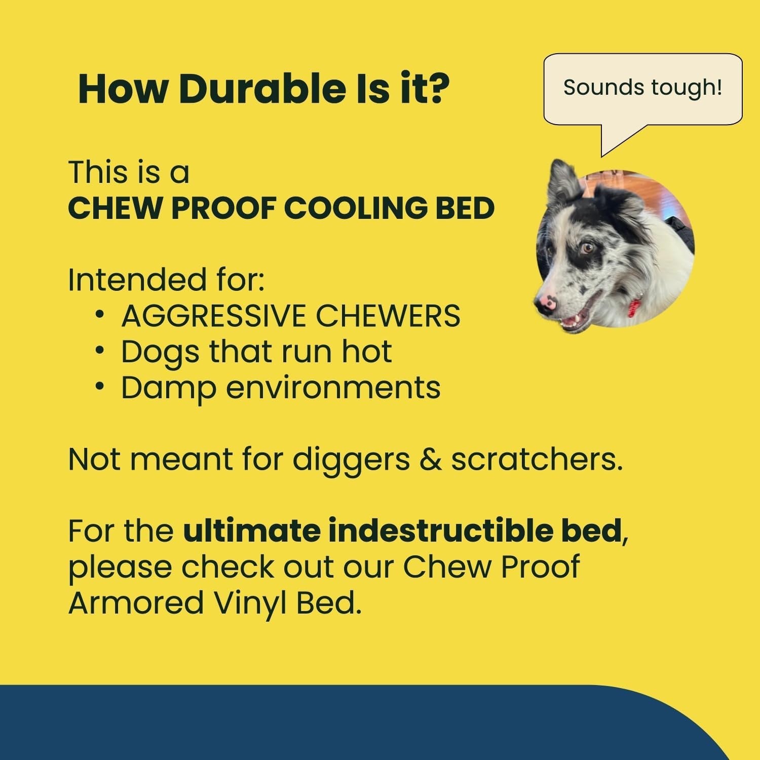 Say goodbye to chewed-up beds! 🐾 Check out the K9 Ballistics Chew Proof Elevated Cooling Cot for Small Dogs & Puppies - tough, comfy, and ready for your little chewer! 🖤✨