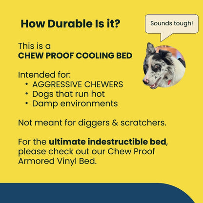 Say goodbye to chewed-up beds! 🐾 Check out the K9 Ballistics Chew Proof Elevated Cooling Cot for Small Dogs & Puppies - tough, comfy, and ready for your little chewer! 🖤✨