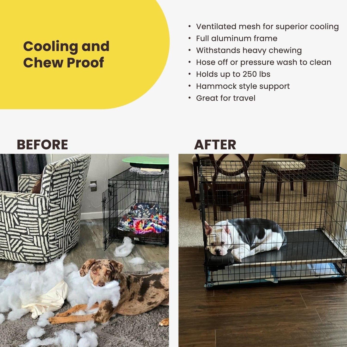 Say goodbye to chewed-up beds! 🐾 Check out the K9 Ballistics Chew Proof Elevated Cooling Cot for Small Dogs & Puppies - tough, comfy, and ready for your little chewer! 🖤✨