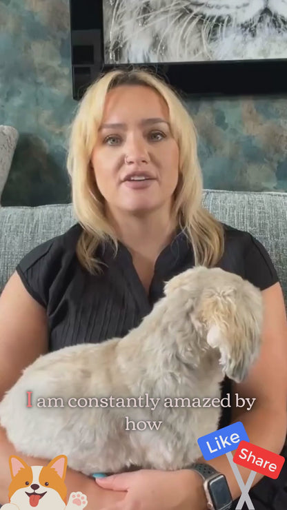 Say goodbye to messy walks! 🐾 Pogi's Leak-Proof & Extra Thick Dog Poop Bags - Fresh Scent, 150 Count! 🌟 #PetCare #DogLovers